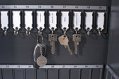 Sleutellabel Pavo magnetisch assorti - afbeelding 4
