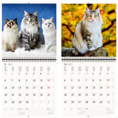Kalender 2026 30x30cm katten - afbeelding 7