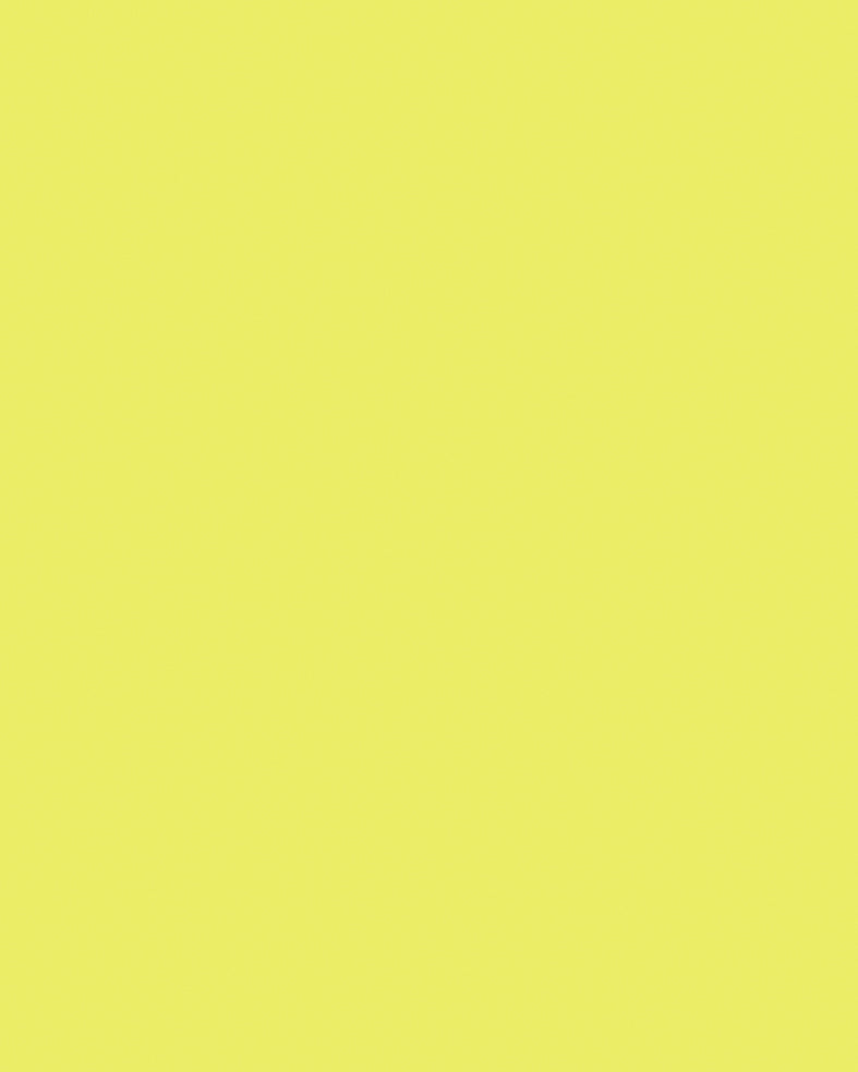 Etalagekarton Folia 1z 48x68cm 380gr nr911 fl gl