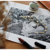 Tekenset rOtring Isograph College 0.2-0.3-0.5mm - afbeelding 8