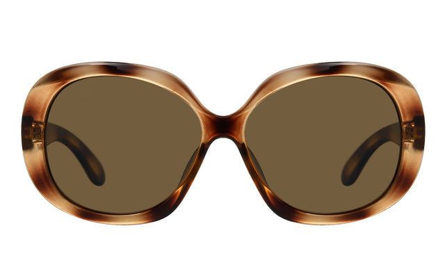 Zonnebril Montana bruin polar glas glans demi
