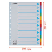 Tabbladen Esselte Stand A4 12dlg karton 11r ass - afbeelding 2