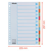 Tabbaden Esselte premium A4 12dlg karton 23r ass - afbeelding 2