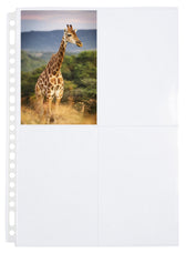 Fototas Multo A4 23r 10x15cm PP 4vak tr 10st - afbeelding 2