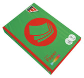 Kopieerpapier Quantore Colour A4 120gr grasgroen - afbeelding 9