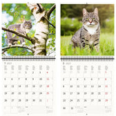 Kalender 2026 30x30cm katten - afbeelding 6