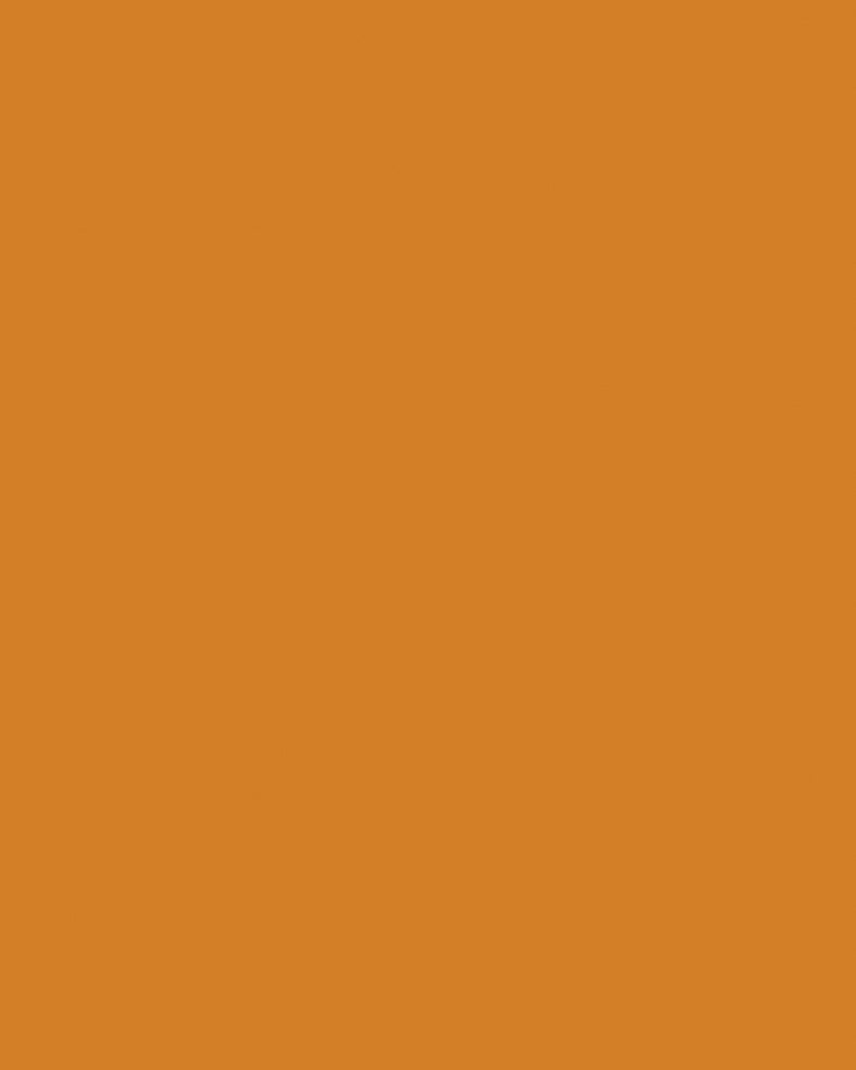 Etalagekarton Folia 1z 48x68cm 380gr nr915  or