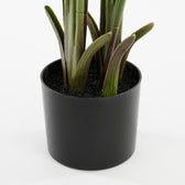 Kunstplant Mica Bananen boom in pot - afbeelding 2