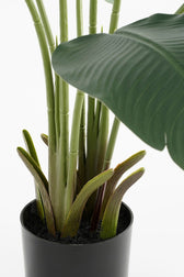 Kunstplant Mica Bananen boom in pot - afbeelding 5