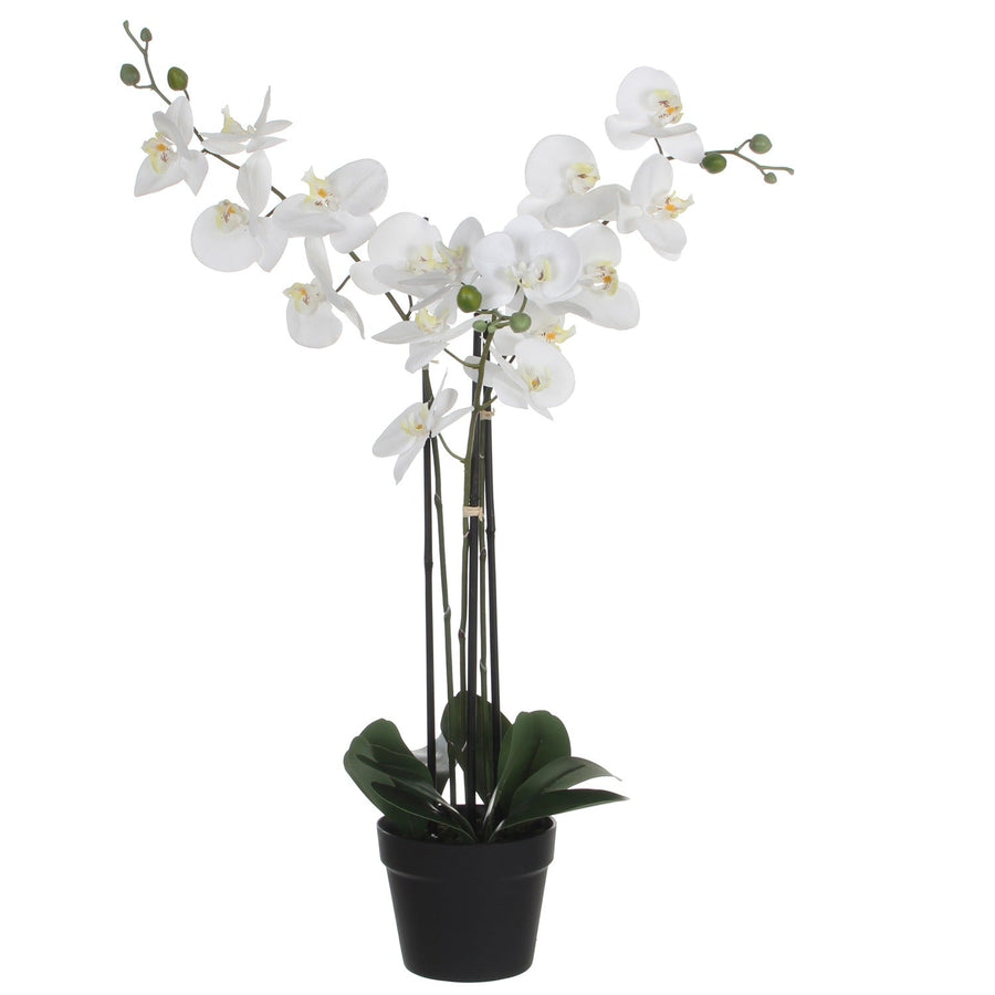 Kunstplant Mica Phalaenopsis orchidee wit