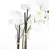 Kunstplant Mica Phalaenopsis orchidee wit - afbeelding 2