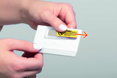 Badge Durable met magneet 54x90mm 25 stuks - afbeelding 4