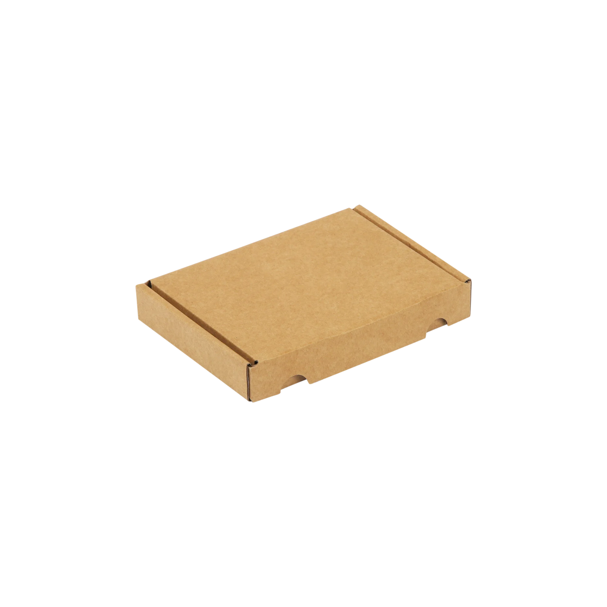 A6 brievenbusdoos 160x120x25 mm met klep