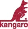 Insteekmap L model Kangaro A4 0.18mm PVC tr 25st - afbeelding 3