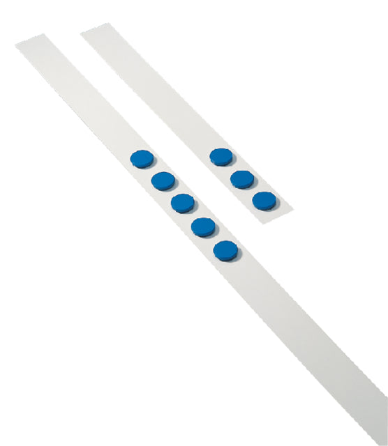 Wandlijst Desq 100cm met 5 magneten 32mm blauw