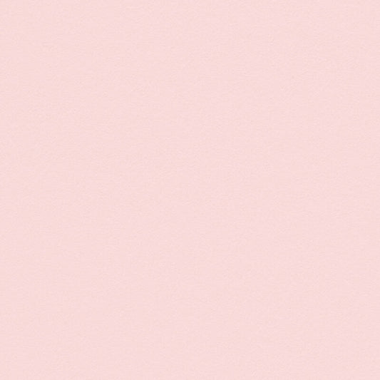 Keaykolour Pastel Pink 170 g/m² – 700 x 1000 mm (125 vellen)